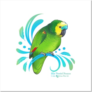 Blue Fronted Amazon Parrot Posters and Art